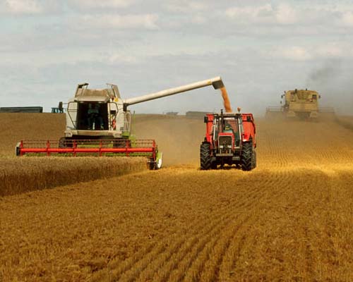 Contrat de vente et d’achat de céréales : peut-on le remettre en cause ?